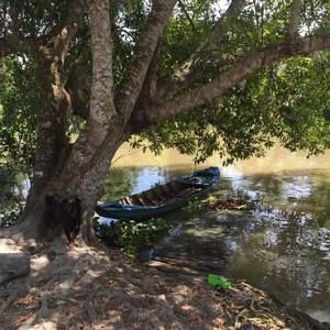 Meet your Posher, Son